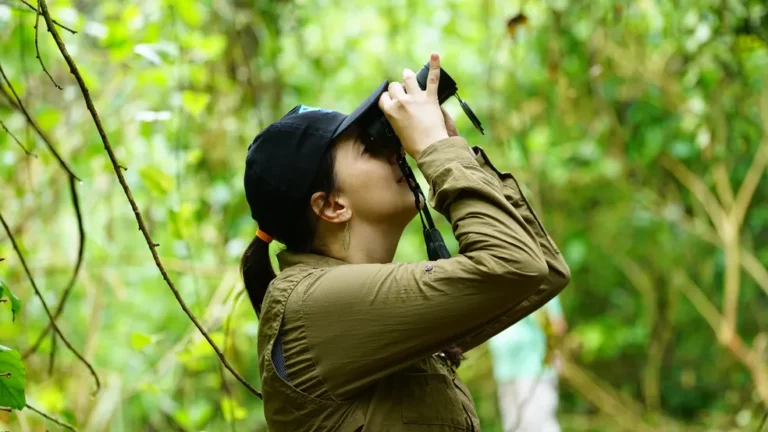 Observación de Aves en Paraguay: Un Paraíso para los Entusiastas del Birdwatching